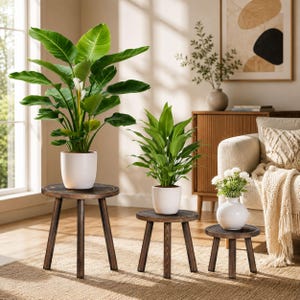 3 Pack Wooden Plant Stands, Indoor Plant Holder Set, Pine Wood Plant Stools, Multi Height Plant Pedestals, Modern Home Decor, Dark Brown