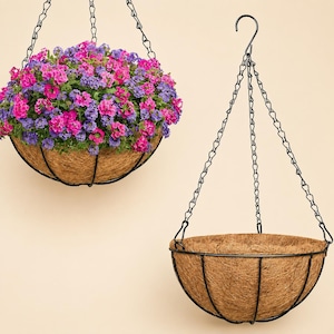 May include: Two hanging planters featuring black metal wire frames and natural brown coconut coir liners. One planter is filled with a dense cluster of vibrant pink and purple verbena flowers, while the other is empty and suspended by a metal chain.