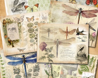 Botanical Digital Paper pack, 8 scrapbooking papers, Digital download, craft paper, ephemera, Garden Paper Pack, Junk Journal Paper