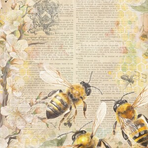 Papeles para scrapbooking de pájaros y abejas descargables, 6 hojas imprimibles para llevar un diario y hacer manualidades. Tamaño carta de Shabbyweddingbooks