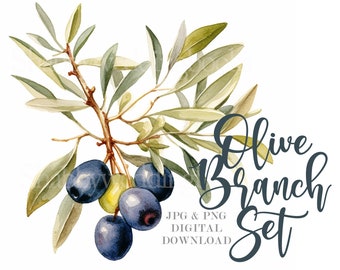 Può includere: Illustrazione ad acquerello di un ramo d'ulivo con foglie verdi e olive blu scuro. L'immagine include il testo "Olive Branch Set" e "JPG & PNG DIGITAL DOWNLOAD".