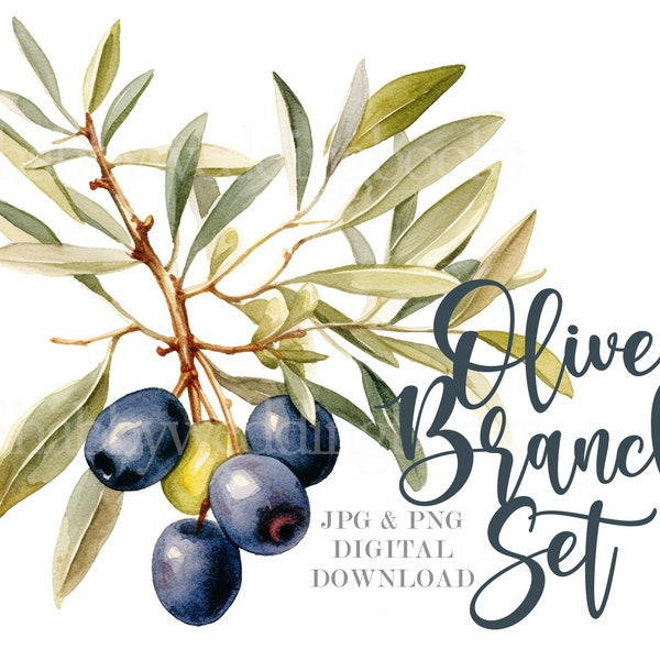 3 Olive Branch Digital Downloads, 2 Jpgs and 1 png file formats, Watercolor Olive Branch Clipart, Wedding Clipart