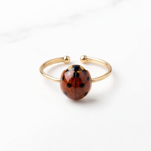 Könnte beinhalten: Ein goldfarbener offener Ring mit einem glänzenden, abgerundeten Marienkäfer-Anhänger. Der Marienkäfer ist braun mit deutlichen schwarzen Punkten und einem schwarzen Kopfbereich. Die Ringschiene ist dünn und metallisch mit abgerundeten Enden.