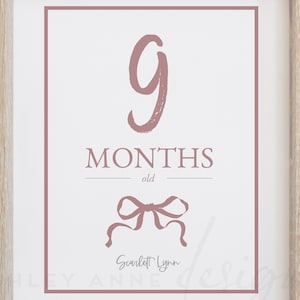 Baby Milestone Cards, Baby Milestone Discs, Baby Milestone Markers, Baby Milestone SVG, Baby Milestone Printable