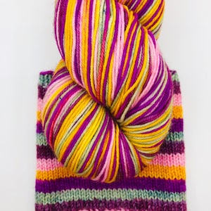 Molly Self Striping on Harmony Sock/100g image 1