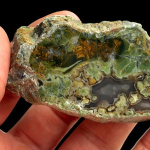 May include: A raw agate specimen featuring a polished cross-section with vibrant moss green, earthy brown, and translucent grey banding. The stone displays intricate dendritic inclusions and crystalline formations within its natural, rough-textured exterior.