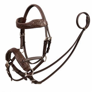 May include: A dark brown leather horse bridle featuring intricate floral tooling on the browband and noseband. The bridle includes silver-toned metal buckles, rings, and hardware, with long leather reins attached to the bit area for control.