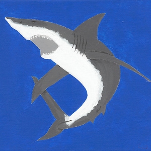 Digital Print | Great White Shark