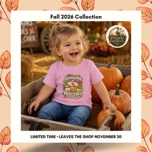May include: A light pink short-sleeved t-shirt featuring a graphic of the state of Nebraska with a heart, surrounded by autumn leaves and pumpkins, with the text "Someone in NEBRASKA Loves Me". The shirt is worn with blue denim jeans.