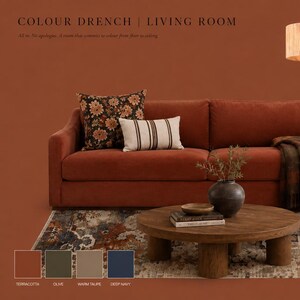 May include: A living room mood board featuring a terracotta sofa with floral and striped pillows, a wooden coffee table, a rattan armchair with cream cushions, a floor lamp, a pendant light, and a framed print of a person reading in a chair.