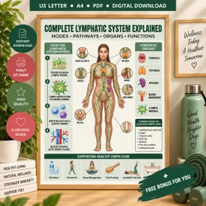 May include: A digital download educational poster titled Complete Lymphatic System Explained, featuring a central human figure with green lymphatic pathways, labeled organs, and diagrams illustrating lymph flow, functions, and healthy habits.