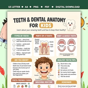 Puede incluir: Un póster educativo titulado Teeth & Dental Anatomy for Kids con ilustraciones de dientes, una sección transversal de un diente y un niño sonriente. El gráfico incluye secciones sobre tipos de dientes, partes de un diente, dientes de leche y consejos.