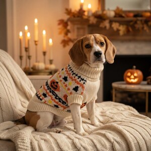 Peut inclure: Un chien beagle portant un pull en tricot couleur crème avec un motif festif de citrouilles et de feuilles orange et noir. Le pull présente un col roulé côtelé, des poignets côtelés et un ourlet côtelé, offrant un ajustement serré au chien.
