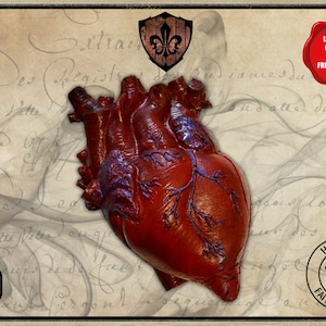 Foam LARP Anatomical Human Heart: Cosplay Prop