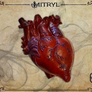 Corazón humano anatómico de espuma para LARP: accesorio de cosplay *TARIFA INCLUIDA*