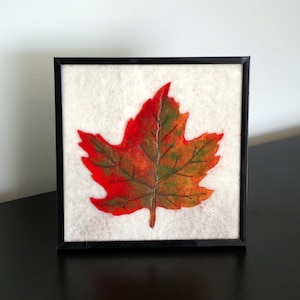 Peut inclure: Une œuvre d'art encadrée représentant une seule feuille d'érable rouge et verte sur un fond blanc.