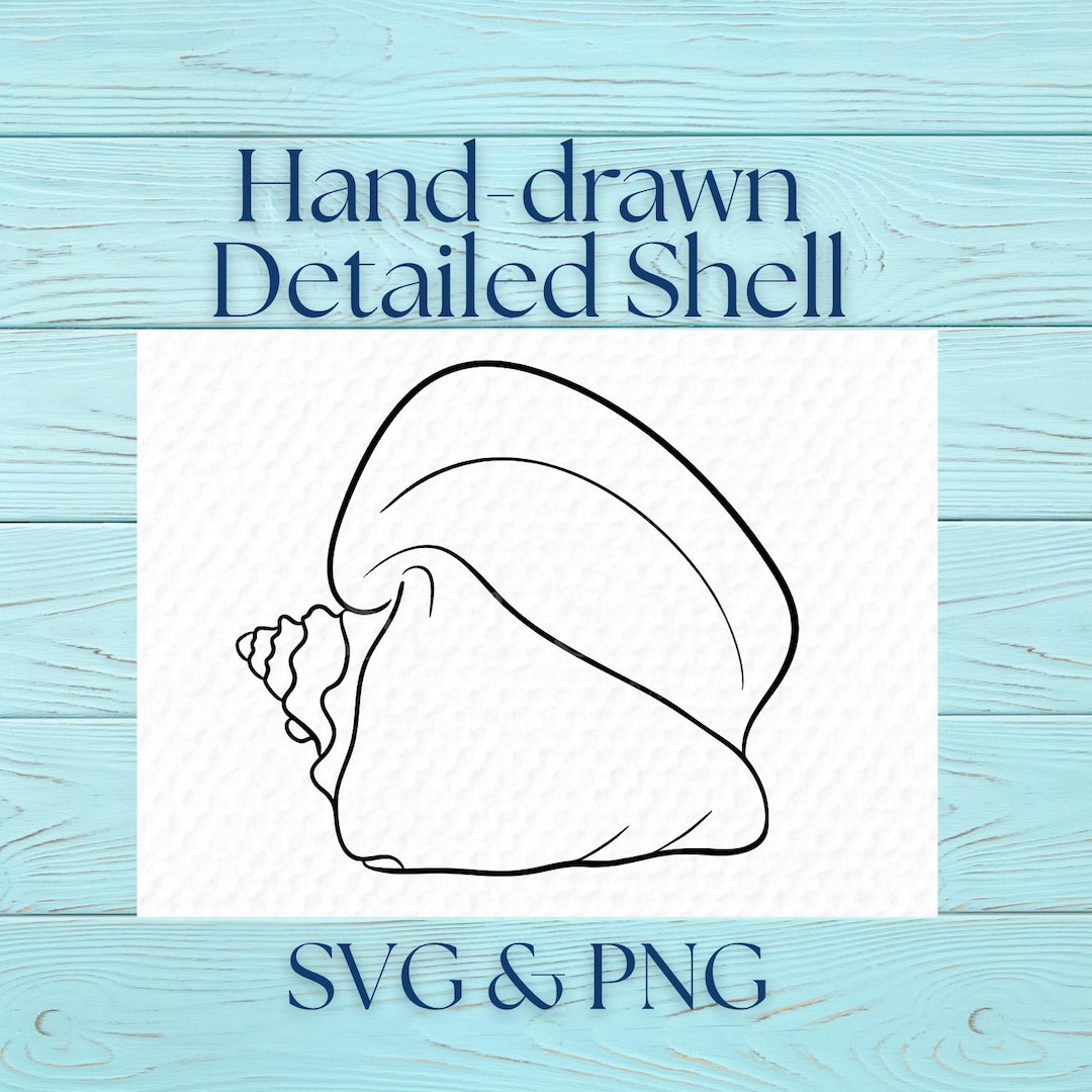 Hand-drawn Conch Shell SVG & Clipart - Etsy