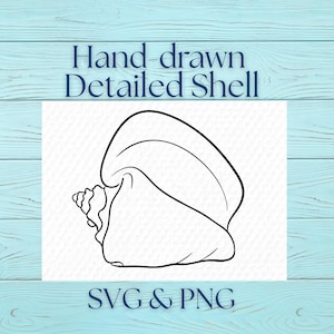 May include: A hand-drawn, detailed shell illustration in black lines. The shell is a conch shape, with a spiral detail on the left and a smooth, curved top. Text at the top reads "Hand-drawn Detailed Shell" and at the bottom "SVG & PNG".