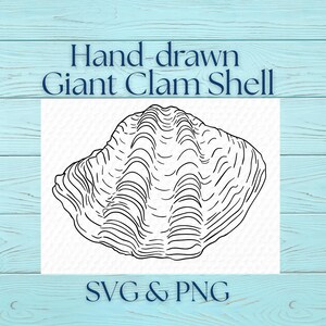 May include: A hand-drawn black and white illustration of a giant clam shell. The shell has detailed lines and curves, with the text "Hand-drawn Giant Clam Shell" above and "SVG & PNG" below.