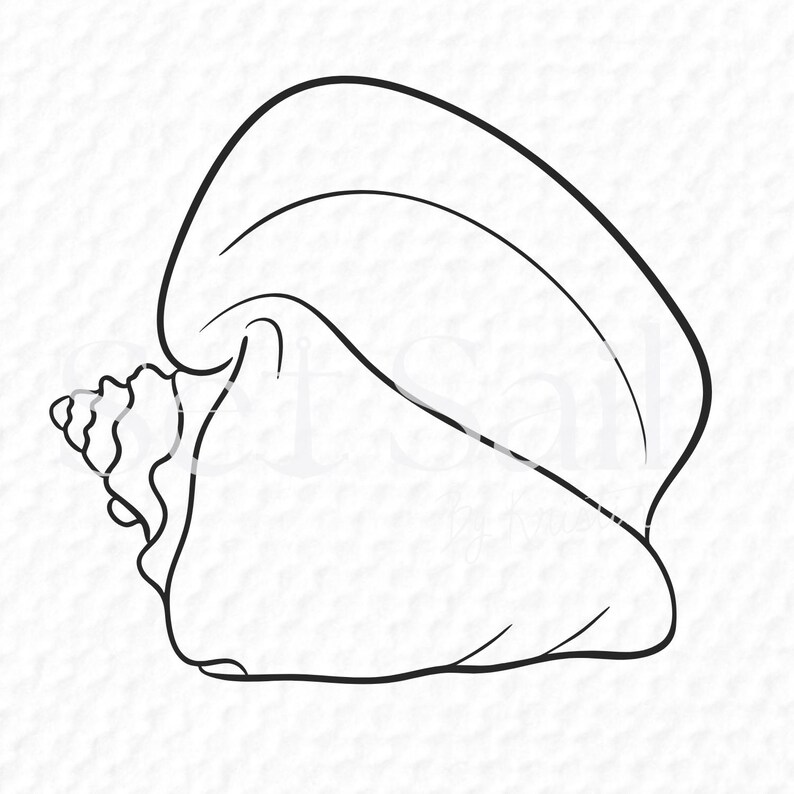 Hand-drawn Conch Shell SVG & Clipart - Etsy Canada