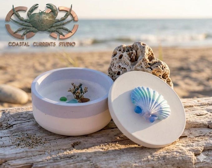 Salty Air Shell Jar with Lid