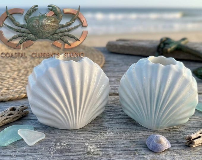 Seafoam Shell Taper Candle Holders