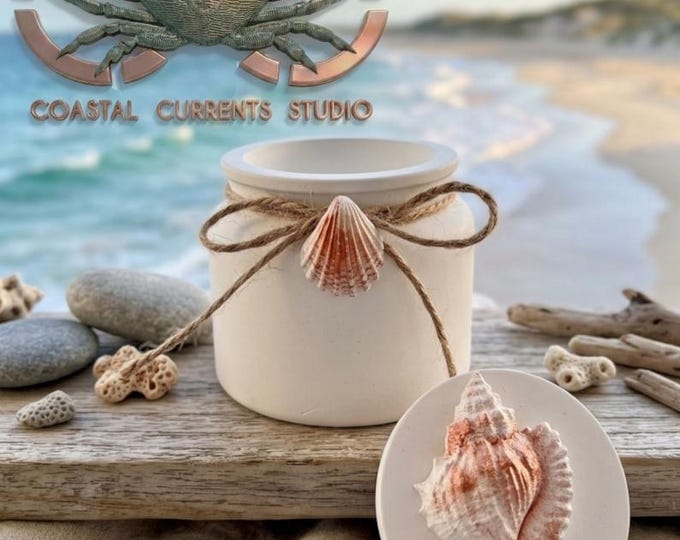 Shoreline Shell Urn - Large