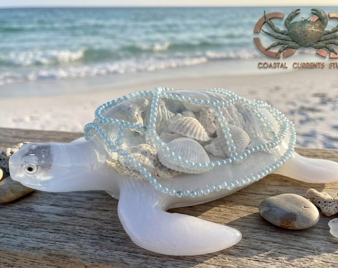 Isla Bella Turtle