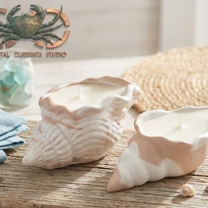 May include: Two shell-shaped candles with white wax and a textured, off-white and light pink exterior. The candles feature a spiral design and a single centered wick each. The logo for Coastal Currents Studio is visible in the upper left corner.
