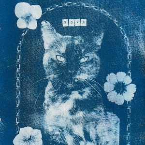 May include: A blue and white cyanotype print featuring a portrait of a cat centered within an arched frame. The name NOVA is printed in small squares above the cat's head. Three white flowers are positioned around the frame on the blue background.