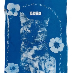May include: A blue and white cyanotype print on paper featuring a portrait of a cat centered within an arched frame. The word NOVA is printed in white block letters above the cat, surrounded by three white floral illustrations on the blue background.