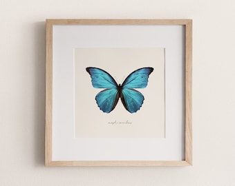 Blue Morpho Butterfly Print | Morpho Menelaus Digital Illustration Insect Bug Poster Home Dorm Decor Printable Wall Art *INSTANT DOWNLOAD*