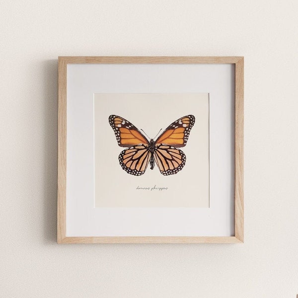 Monarch Butterfly Print | Danaus Plexippus Digital Illustration Boho Insect Bug Poster Home Dorm Decor Printable Wall Art *INSTANT DOWNLOAD*