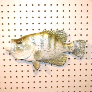 May include: A realistic-looking, hand-painted, white and green crappie fish wall mount. The fish is mounted on a white pegboard background.