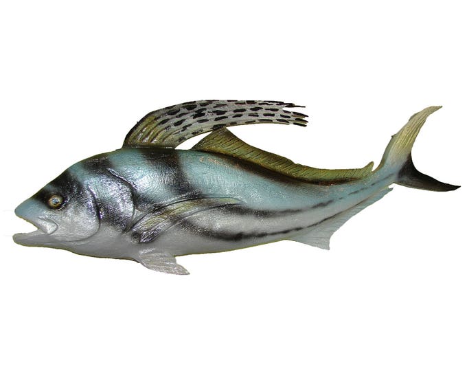 Roosterfish Wall Art Chainsaw Carvings Hand Carved Gamefish Etsy