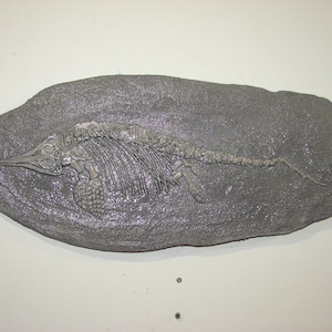 Art Carving Ichthyosaur Fossil Plate Hand Carved Fish Wall Mount Replica Ichthyology Paleontology Donosaur Coelacanth Classroom Jurrassic