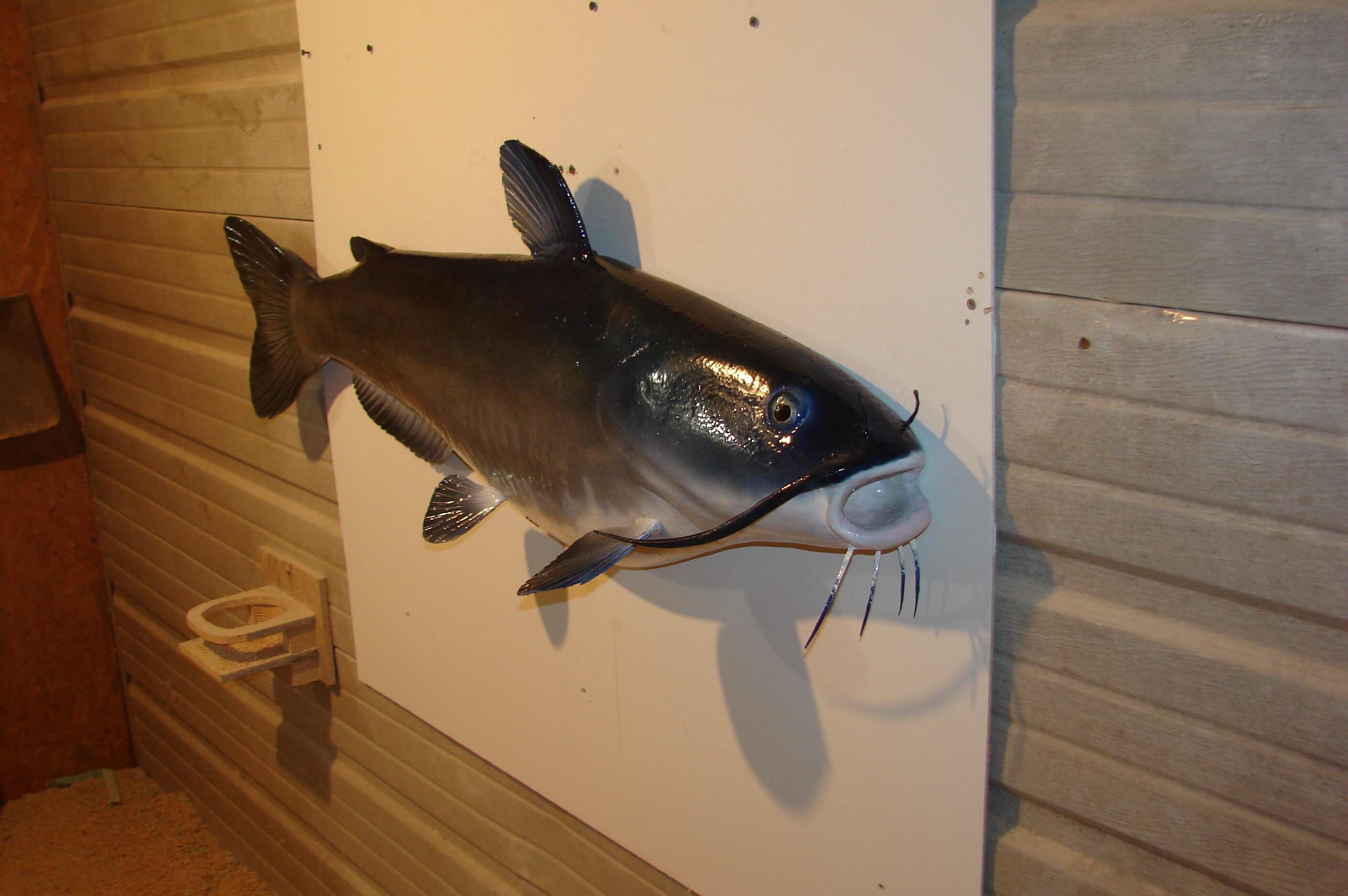 Catfish Carving Wall Mount Rustic Cabin River Lake Fish Wall Art Home