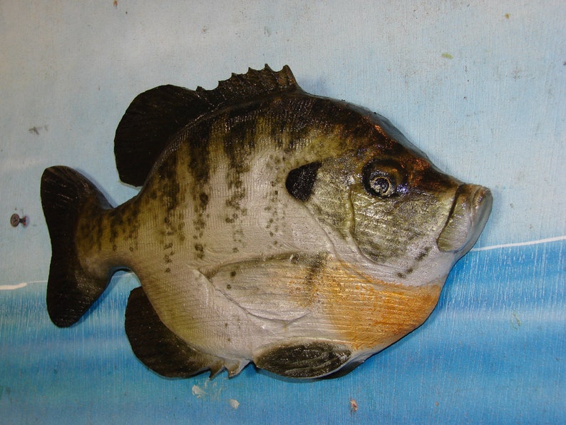 Carved Bluegill 1 Chainsaw Carving Bream Shellcracker Fish Etsy