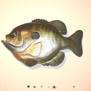 May include: A carved wooden fish sculpture of a bluegill, painted in shades of brown, green, and silver. The fish is mounted on a white wall.