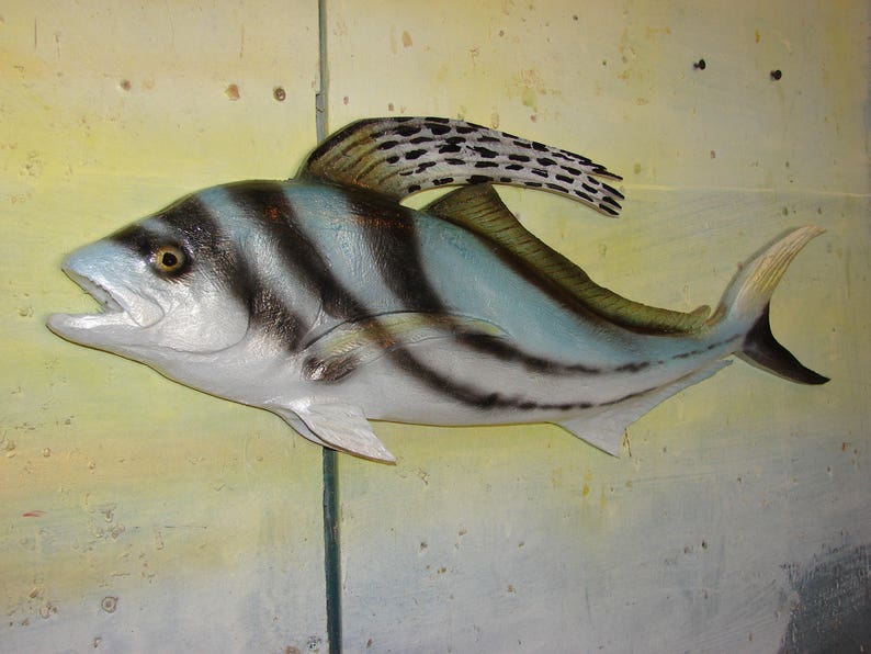 Roosterfish Wall Art Chainsaw Carvings Hand Carved Gamefish Etsy