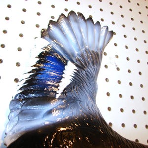 K&ouml;nnte beinhalten: Nahaufnahme eines Vogelfl&uuml;gels mit Farbverlauf. Der Fl&uuml;gel wechselt von tiefem Schwarz zu leuchtendem Blau, mit wei&szlig;en Akzenten an den Kanten. Der Fl&uuml;gel ist gl&auml;nzend und scheint Teil eines dekorativen Objekts zu sein.