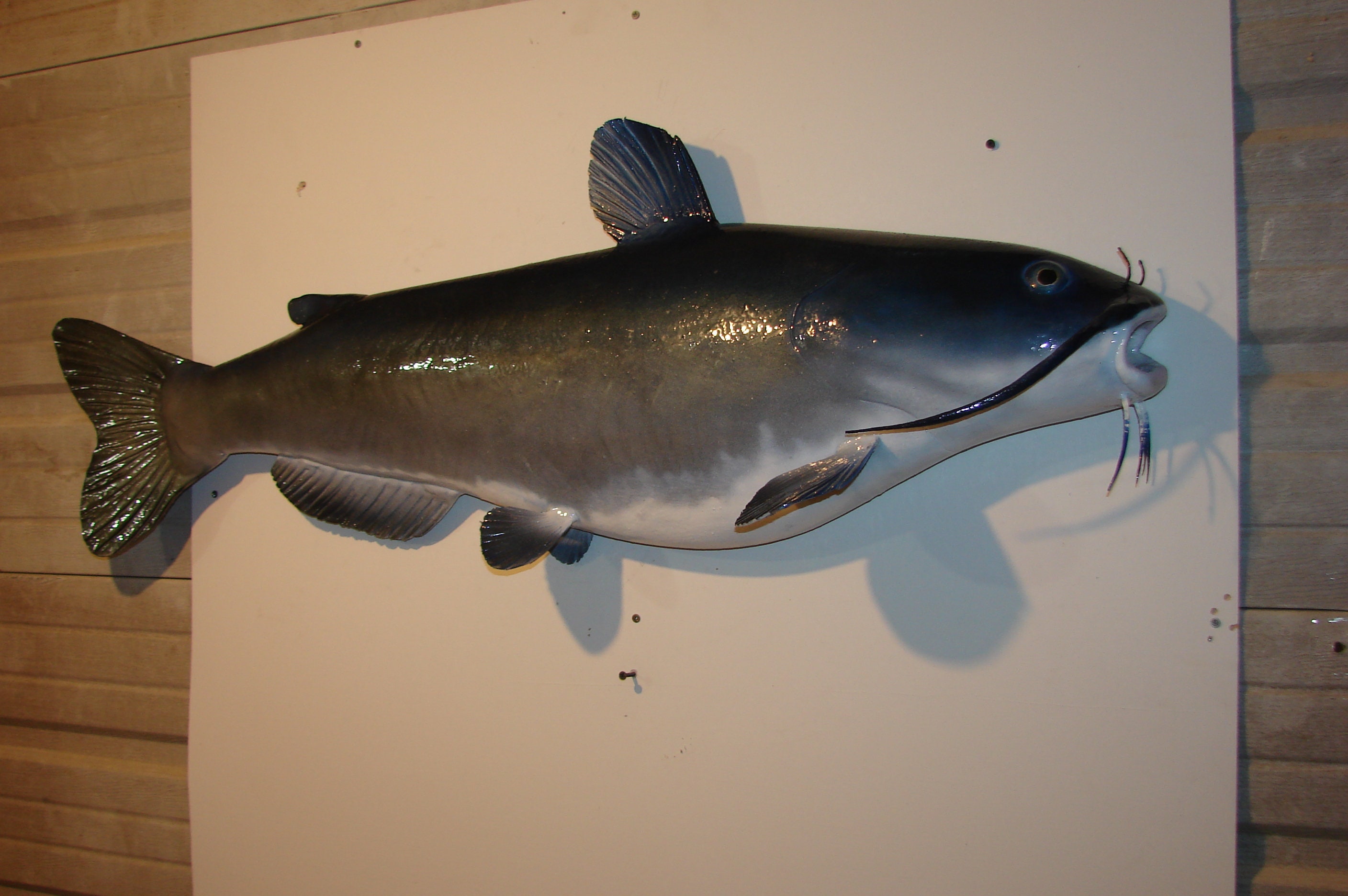 Catfish Carving Wall Mount Rustic Cabin River Lake Fish Wall Art Home