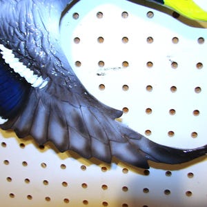 K&ouml;nnte beinhalten: Nahaufnahme eines Entenfl&uuml;gels mit Farbverlauf von Dunkelgrau zu Wei&szlig; und Blau. Der Fl&uuml;gel ist vor einem wei&szlig;en Hintergrund mit gleichm&auml;&szlig;ig verteilten L&ouml;chern platziert, m&ouml;glicherweise ein dekoratives Element.