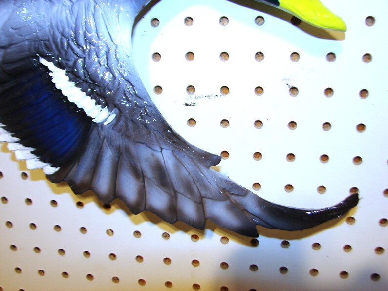 K&ouml;nnte beinhalten: Nahaufnahme eines Entenfl&uuml;gels mit Farbverlauf von Dunkelgrau zu Wei&szlig; und Blau. Der Fl&uuml;gel ist vor einem wei&szlig;en Hintergrund mit gleichm&auml;&szlig;ig verteilten L&ouml;chern platziert, m&ouml;glicherweise ein dekoratives Element.