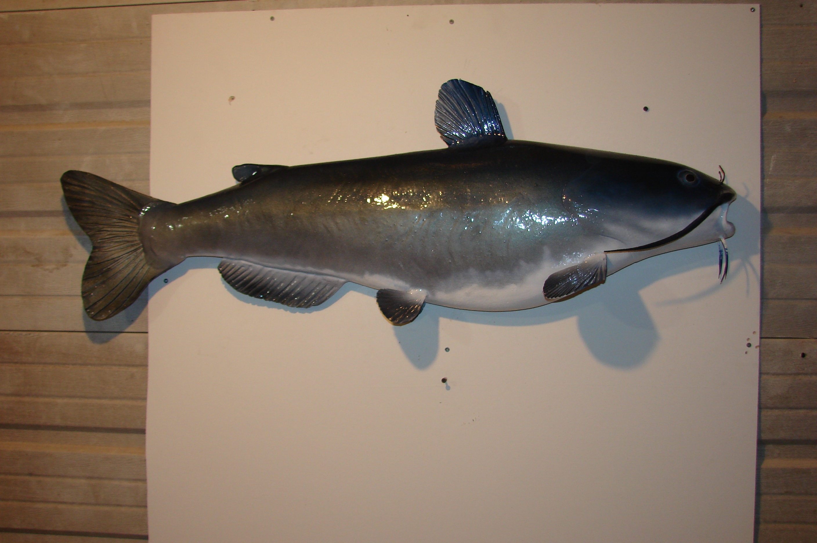 Catfish Carving Wall Mount Rustic Cabin River Lake Fish Wall Art Home