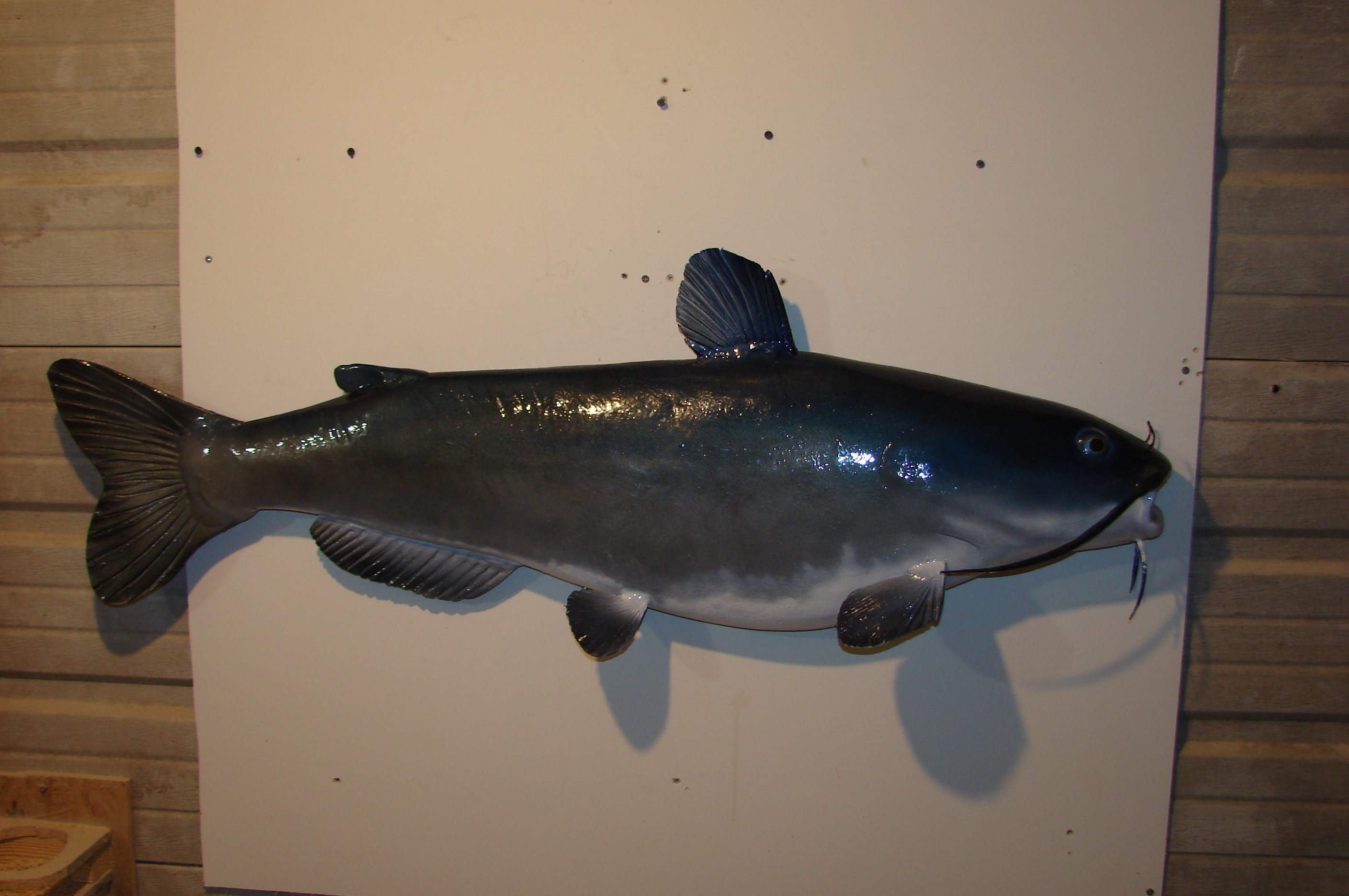 Catfish Carving Wall Mount Rustic Cabin River Lake Fish Wall Art Home