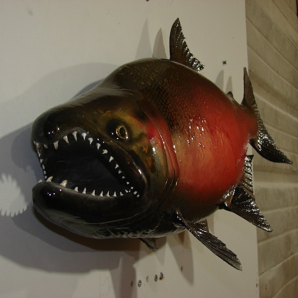 3d Coho Salmon hand carved replica wall mount sculpture taxidermy trophy fish fishing Chinook brook lake pike bream redfish mahi Cabin art