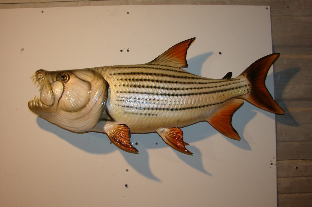 34 African Goliath Tigerfish Hand Carved Sculpted Replica Mount Wall