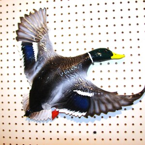 K&ouml;nnte beinhalten: Detaillierte, dreidimensionale Entenskulptur im Flug. Die Ente hat eine gl&auml;nzende Oberfl&auml;che mit einem dunklen K&ouml;rper, wei&szlig;en und blauen Fl&uuml;gelakzenten und einem gelben Schnabel. Die Skulptur ist auf einer wei&szlig;en Lochplatte montiert.