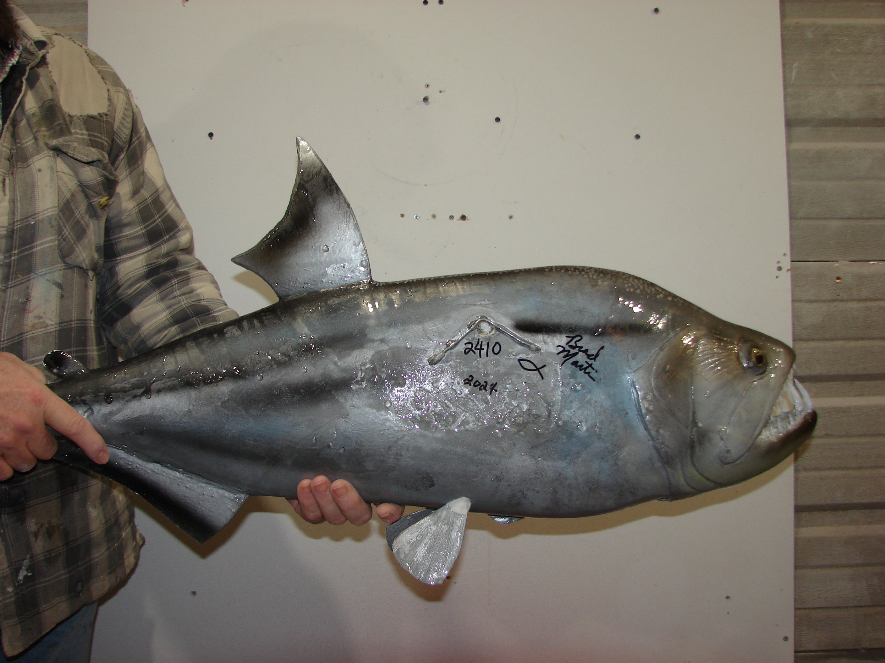 美品　34cmポリプテルス　フィギュア　レプリカ　fish craft REAL ハンドメイド 34cm ポリプテルス エンドリケリー 魚模型 フィギュア